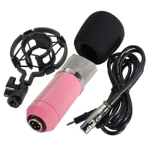 BM700 Condenser Microphone Dynamic Recording with Shock Mount